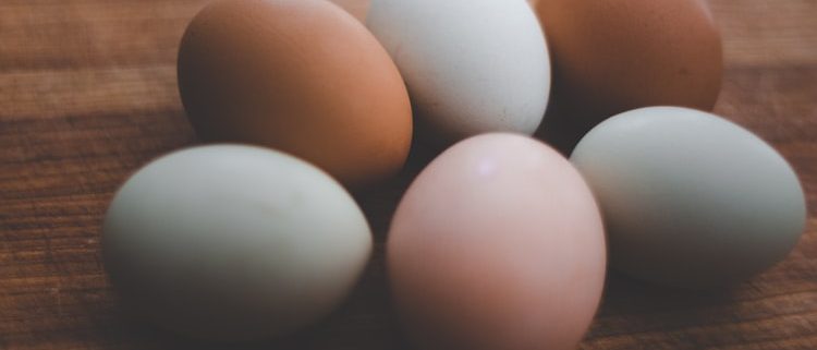 six eggs laid out